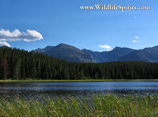 Click Picture to send as an  E-PostCard 64k 550x407